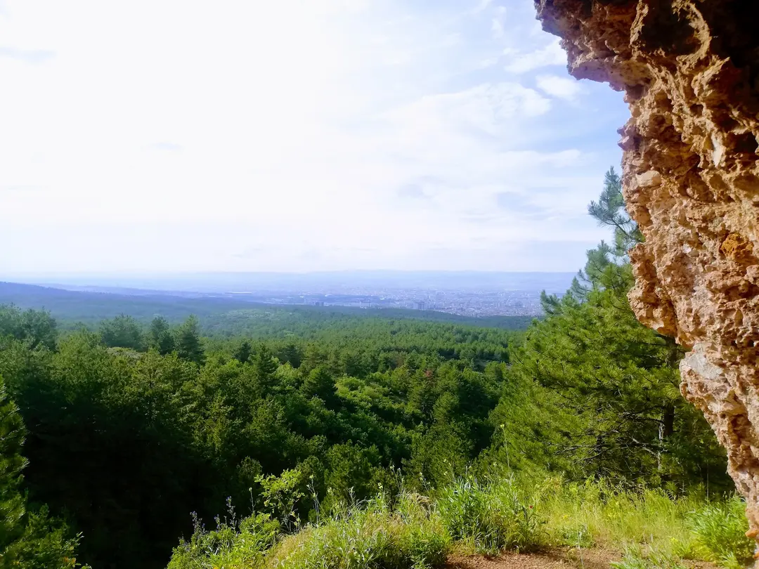 Eskişehir Kent Ormanı — Eskişehir — küçük resim 4