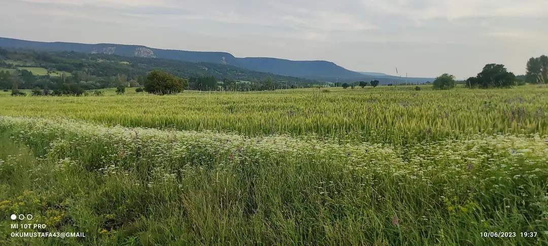 Topçam Nature Reserve — Kütahya — küçük resim 2