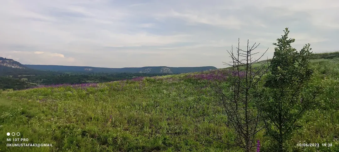 Topçam Nature Reserve — Kütahya — küçük resim 9