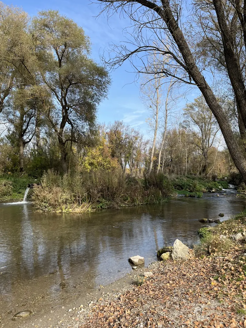 Topçam Nature Reserve — Kütahya — küçük resim 7