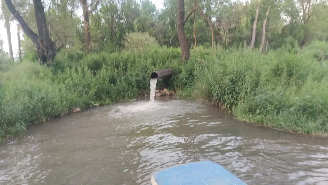 Topçam Nature Reserve — Kütahya — küçük resim 3