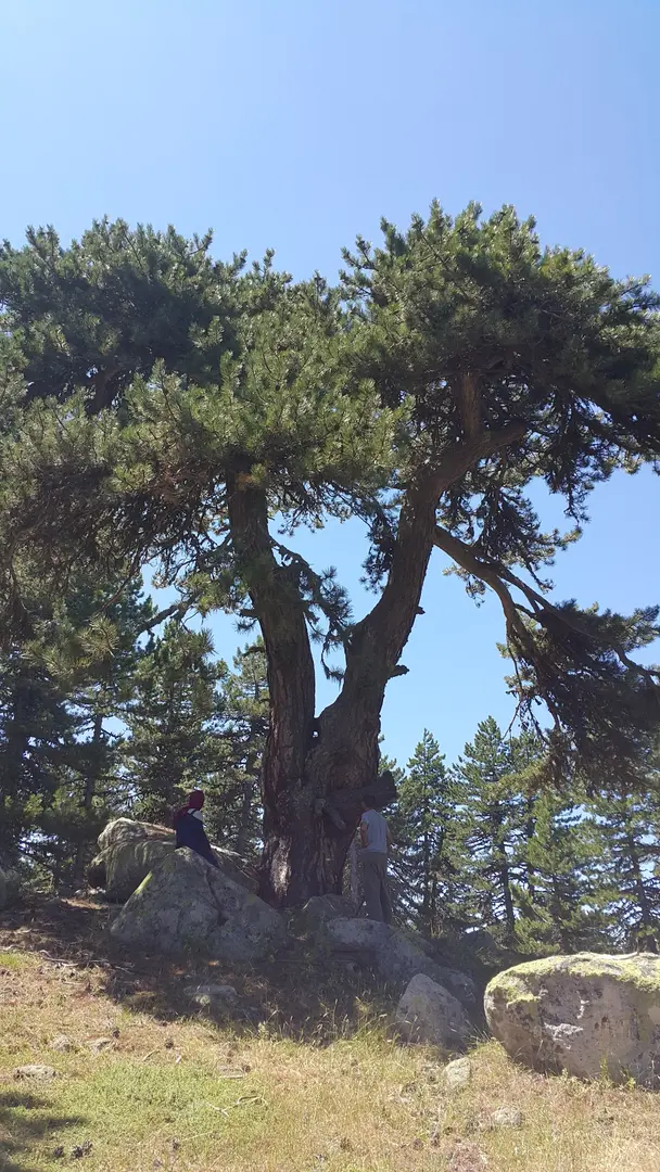 Emet Umutlu Village Sarısu Plateau — Kütahya — küçük resim 3