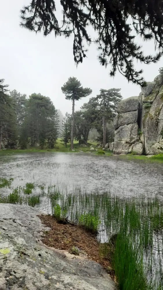 Emet Umutlu Village Sarısu Plateau — Kütahya — küçük resim 7