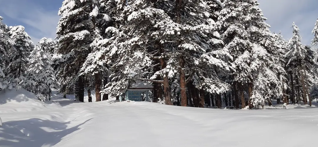 Emet Umutlu Village Sarısu Plateau — Kütahya — küçük resim 6