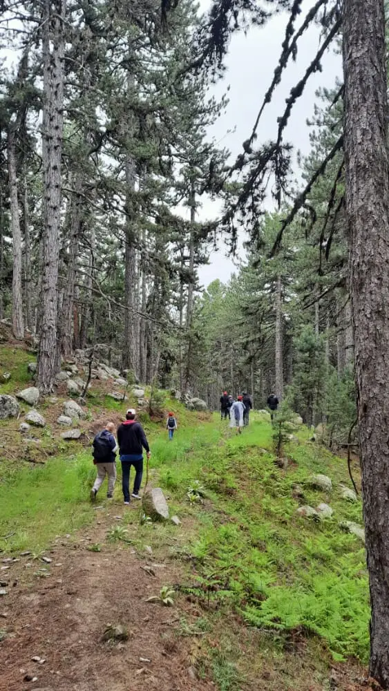 Emet Umutlu Village Sarısu Plateau — Kütahya — küçük resim 5