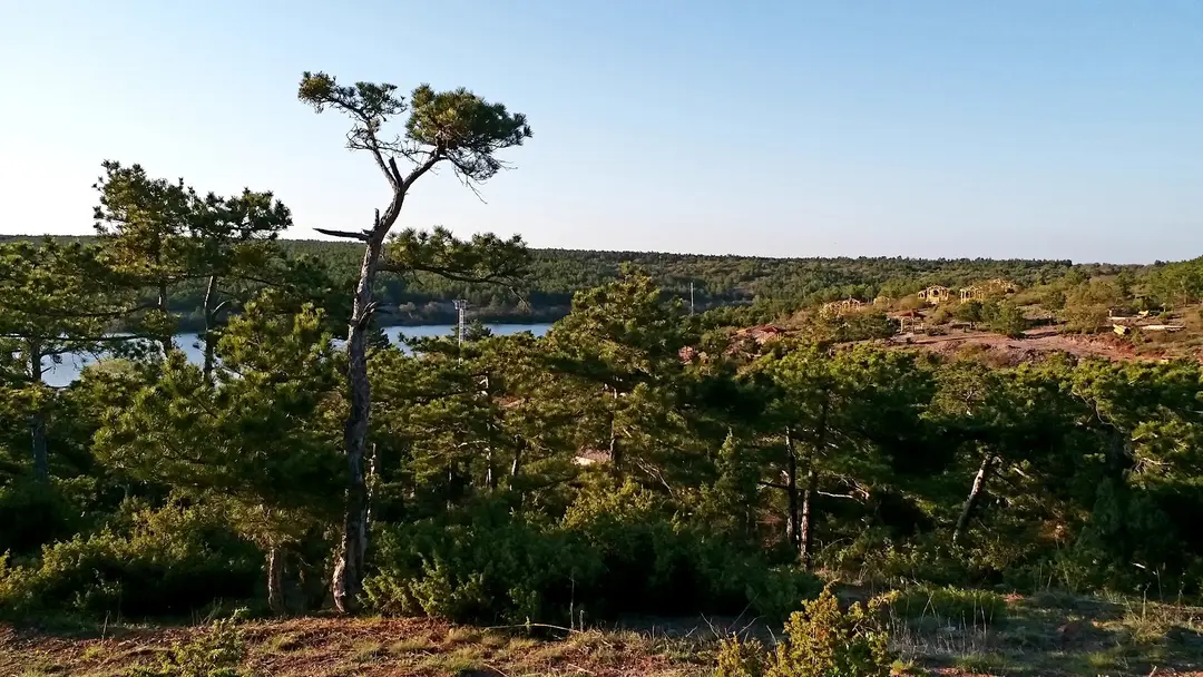 Musaözü Nature Park — Eskişehir — küçük resim 10