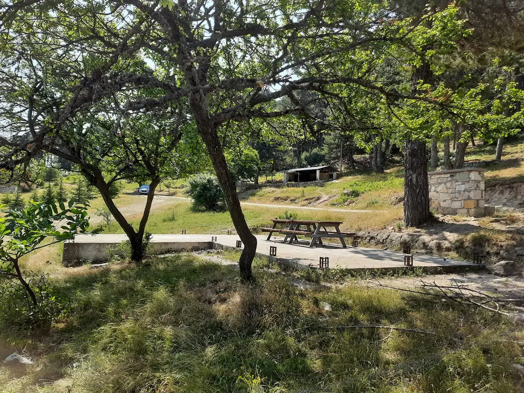 BASALAN ORMAN DİNLENM — Manisa — küçük resim 7