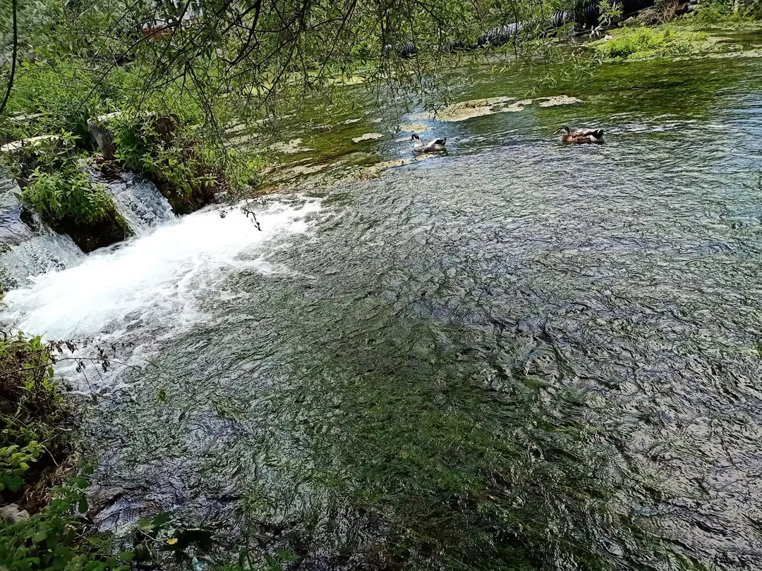Ilıcaksu Sarıkız Spring — Kütahya — küçük resim 10