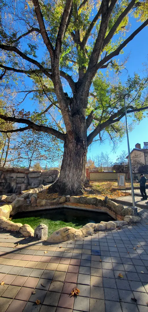 Ilıcaksu Sarıkız Spring — Kütahya — küçük resim 3
