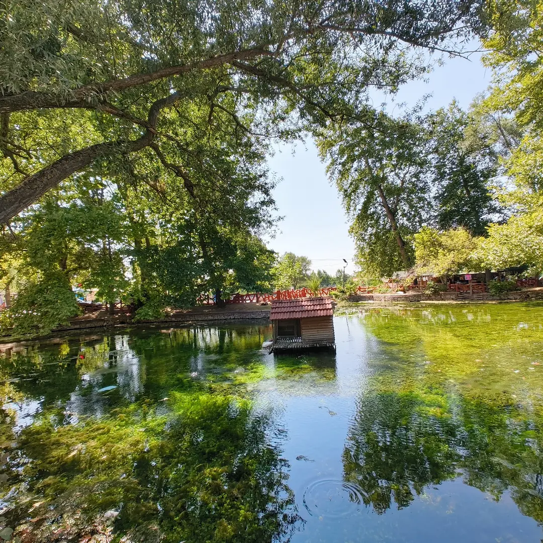 Ilıcaksu Sarıkız Spring — Kütahya — küçük resim 9