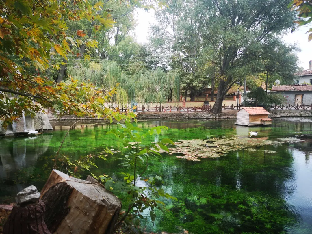 Ilıcaksu Sarıkız Spring — Kütahya — küçük resim 6