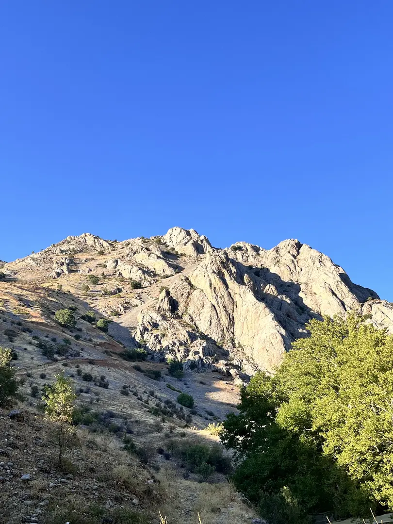 Kozluk Tea Camping Area — Malatya — küçük resim 8