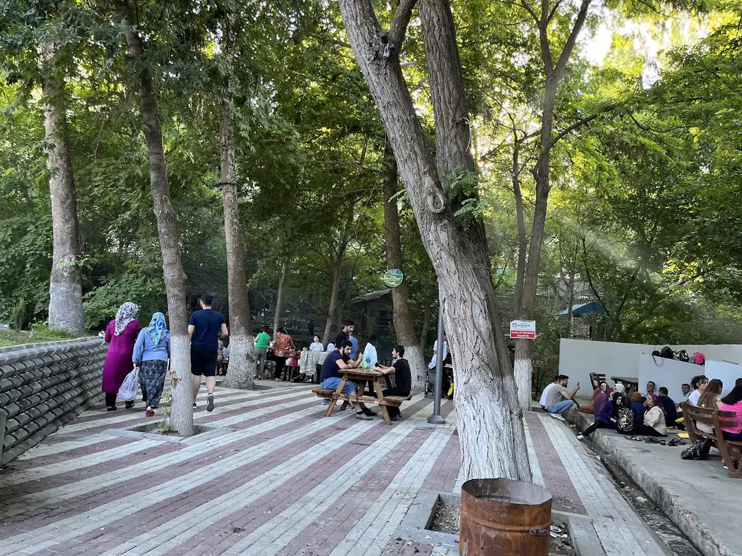 Belsos Horata Mesire Alanı — Malatya — küçük resim 10