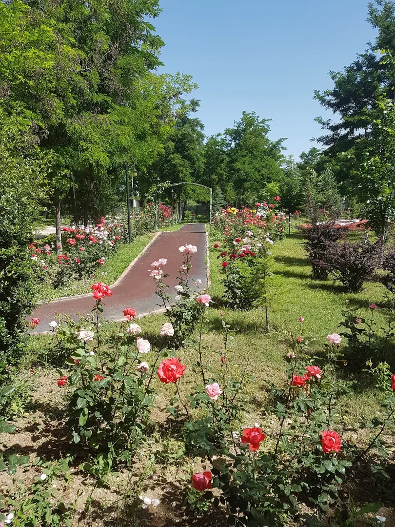Şht. Er Cumali Koç Parkı — Malatya — küçük resim 4