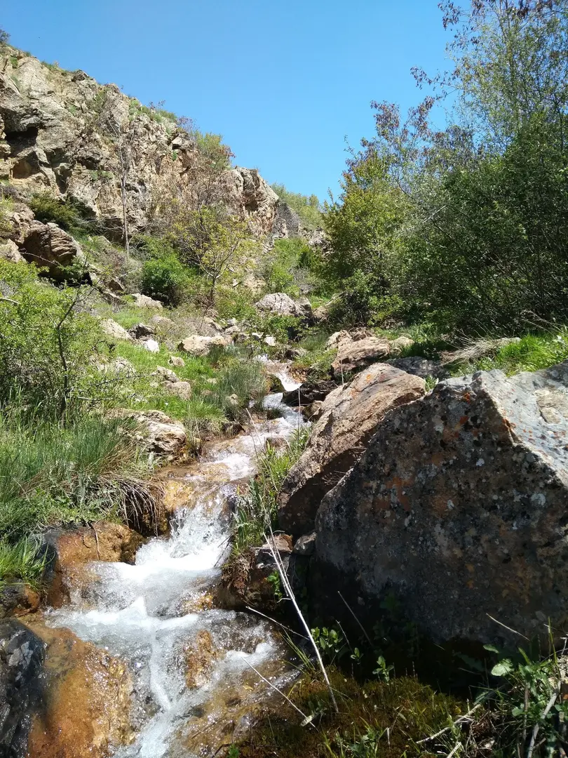 Beydağı