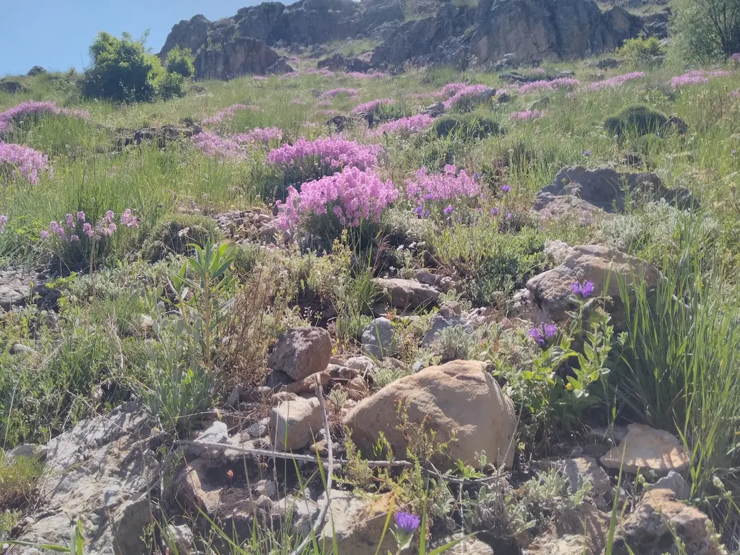 Beydağı — Malatya — küçük resim 4