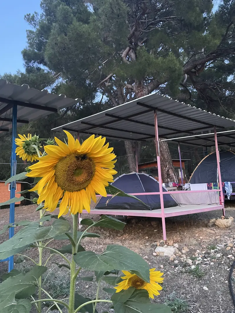 Lighthouse Camping — Antalya — küçük resim 8