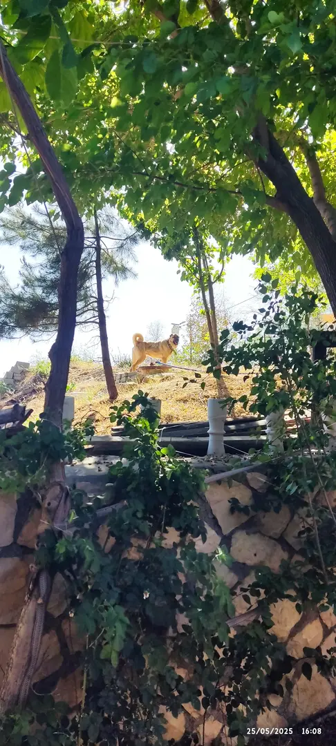 Gece Denizi Kamp Yeri - Caravan and Tent Camping — Mardin — küçük resim 6