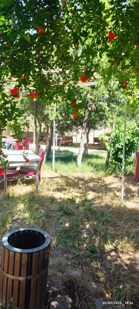 Gece Denizi Kamp Yeri - Caravan and Tent Camping — Mardin — küçük resim 9