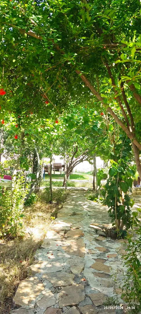 Gece Denizi Kamp Yeri - Caravan and Tent Camping — Mardin — küçük resim 5