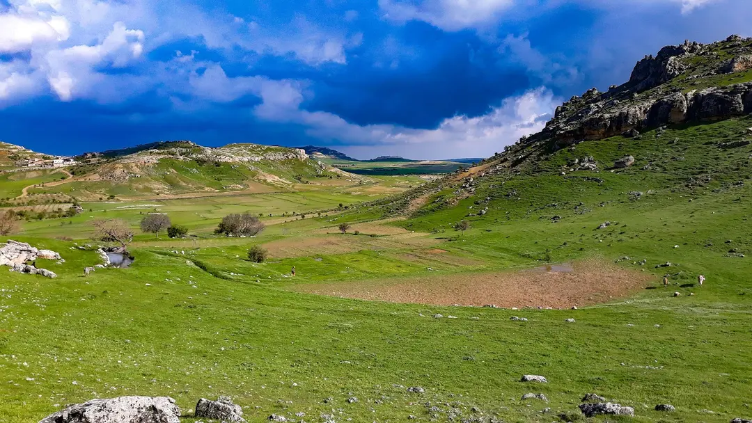 MARDİN Artuklu walnut village kanigürya — Mardin — küçük resim 6