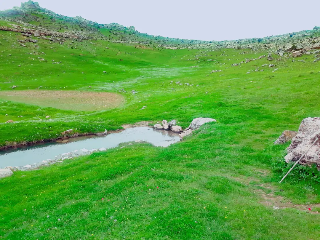 MARDİN Artuklu walnut village kanigürya — Mardin — küçük resim 5