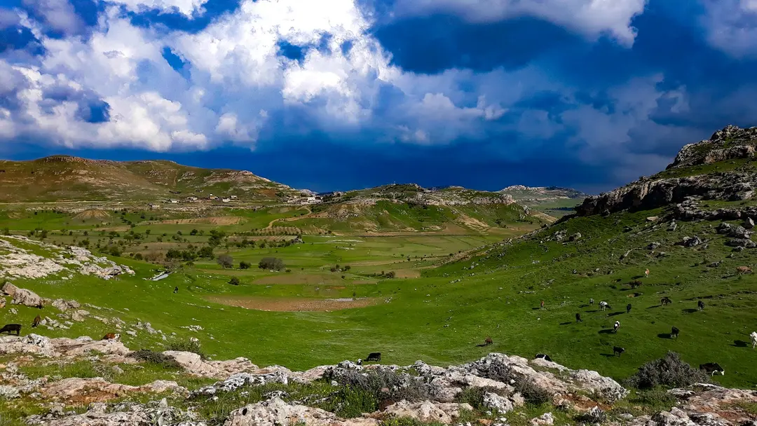 MARDİN Artuklu walnut village kanigürya — Mardin — küçük resim 3