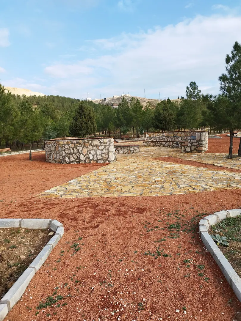 Mardin Kasımiye National Forest — Mardin — küçük resim 2
