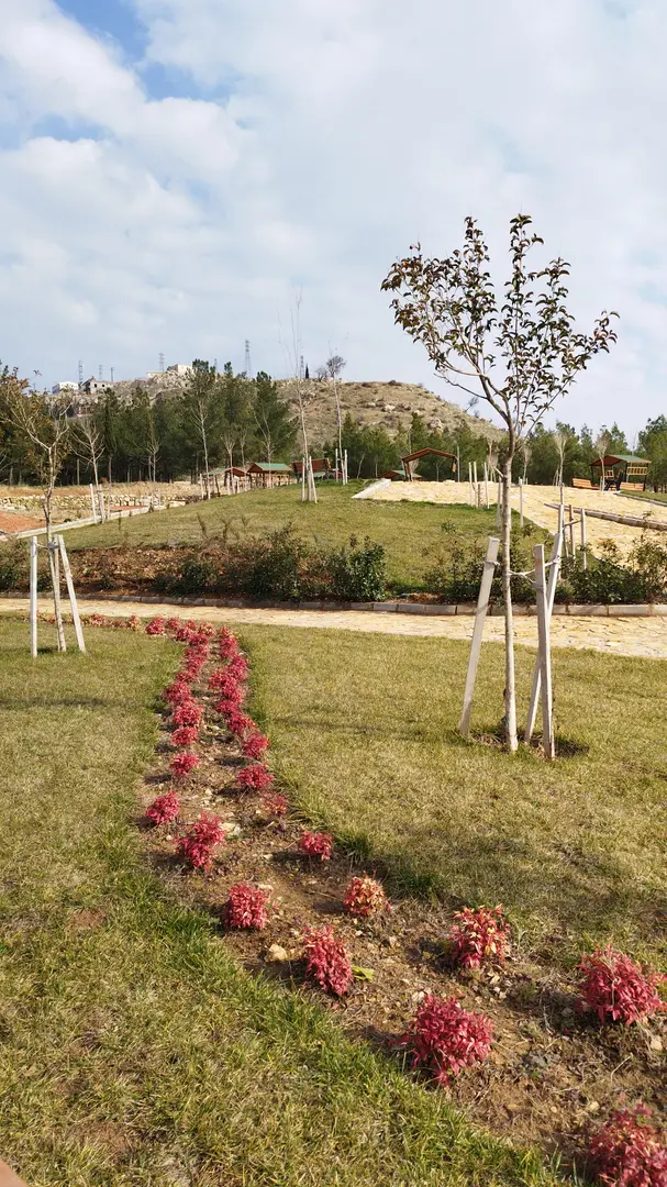 Mardin Kasımiye National Forest — Mardin — küçük resim 3