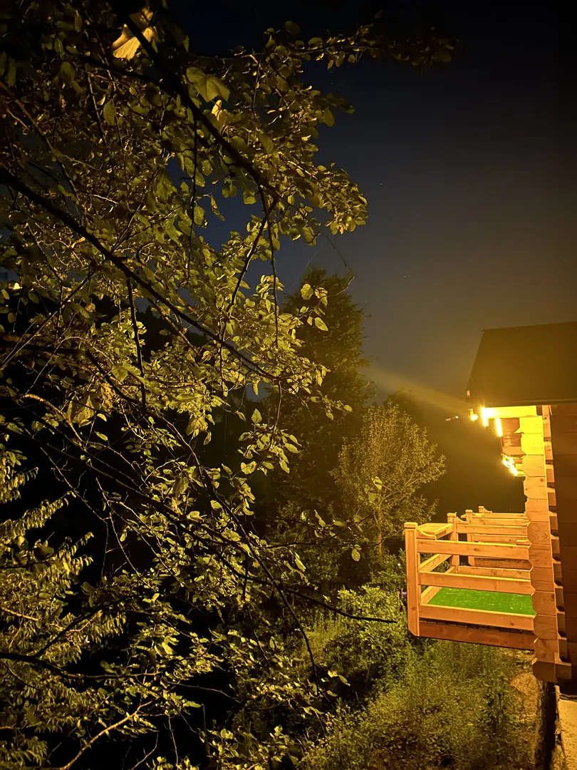 Maysa Suit Bungalov — Rize — küçük resim 6
