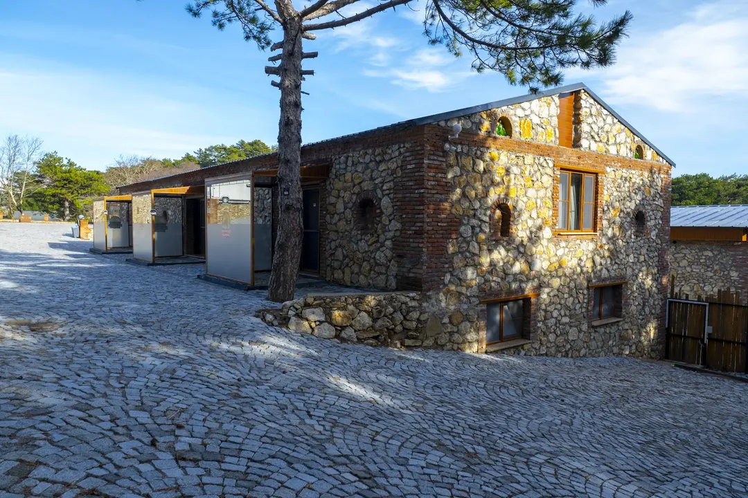 Mas Kaz Dağı Kamping