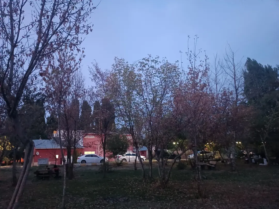 Mesire Alan — Muş — küçük resim 7