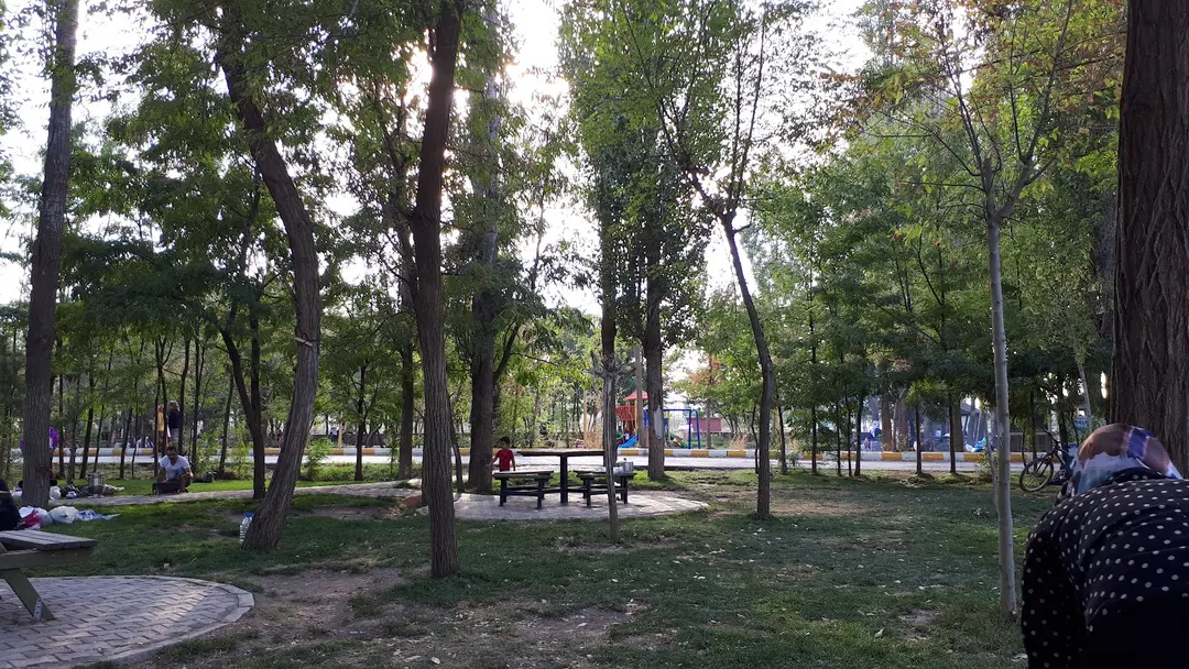 Mesire Alanı