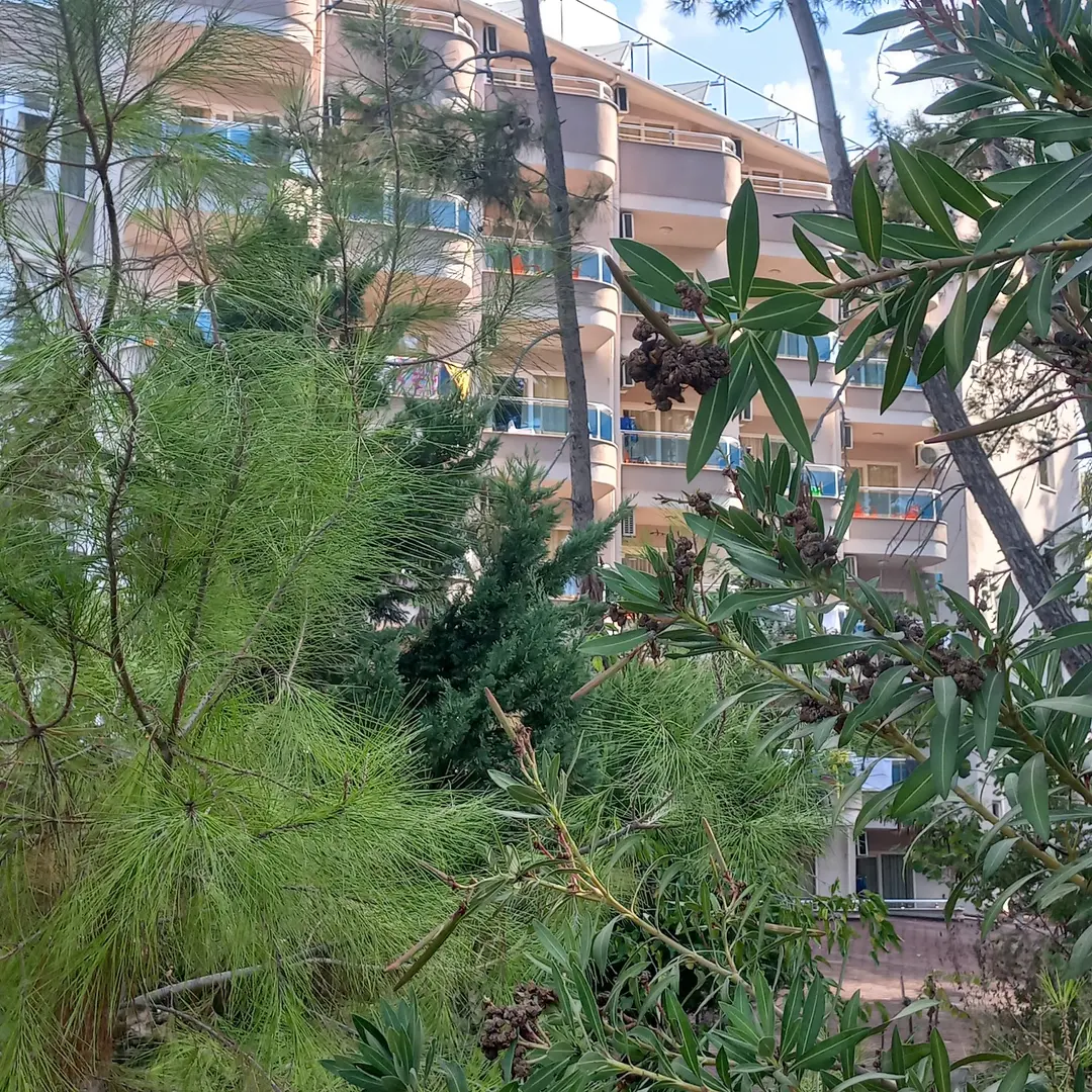 Mutlu Tatil Köyü — Antalya — küçük resim 4