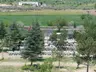 Yeni Camping