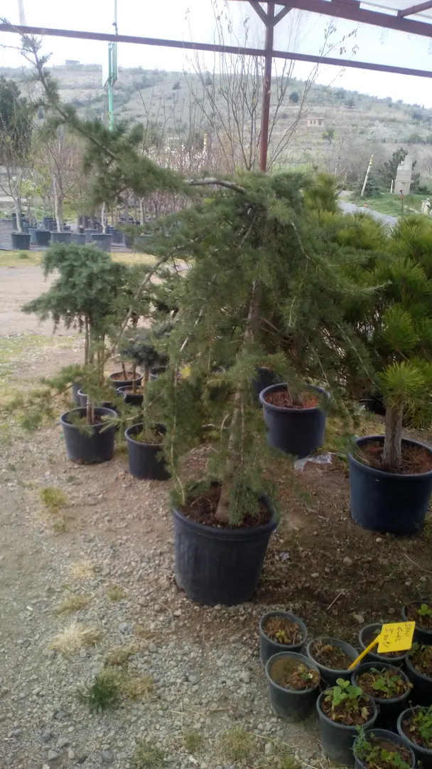 Yeni Camping — Nevşehir — küçük resim 7