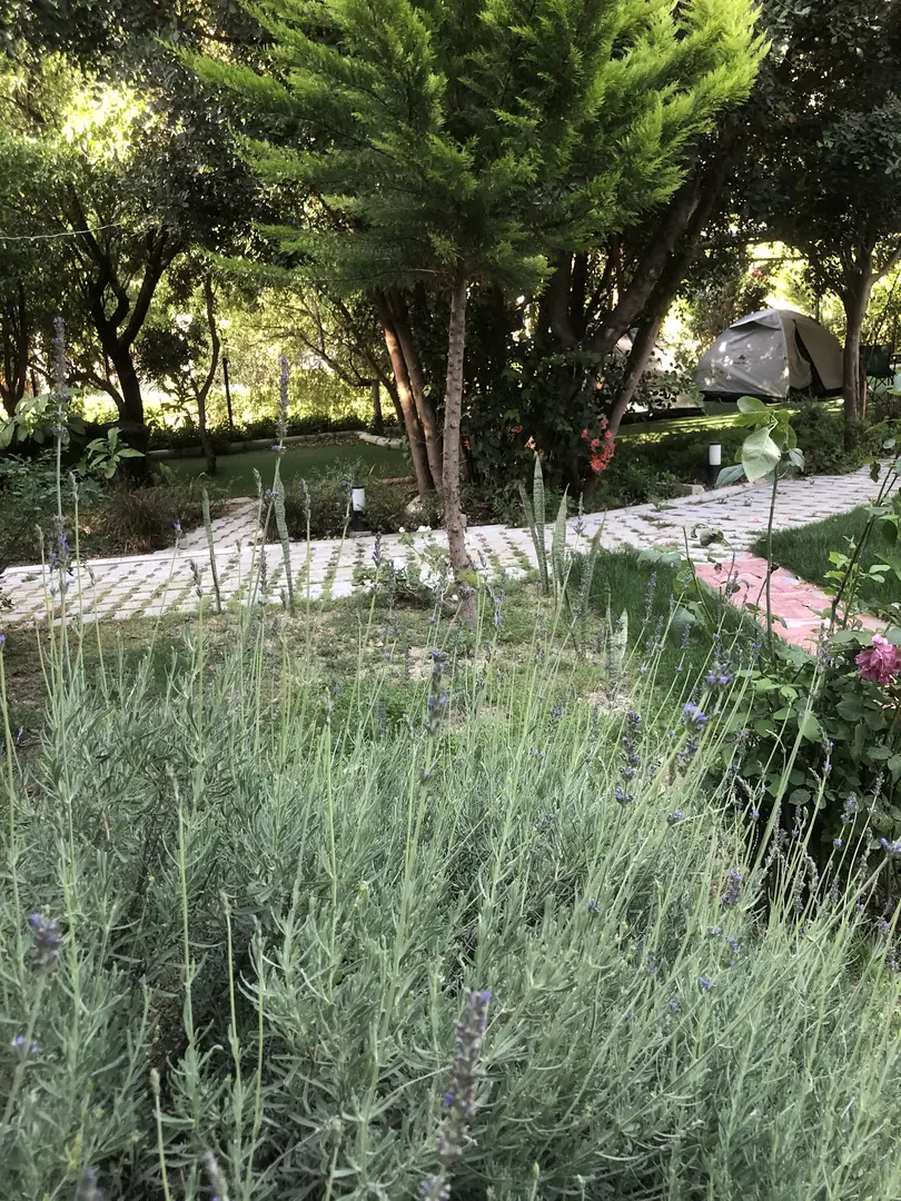 Harnup Camping — Antalya — küçük resim 8