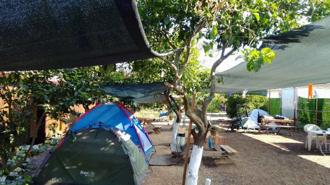 Kuzey Camping — Antalya — küçük resim 3