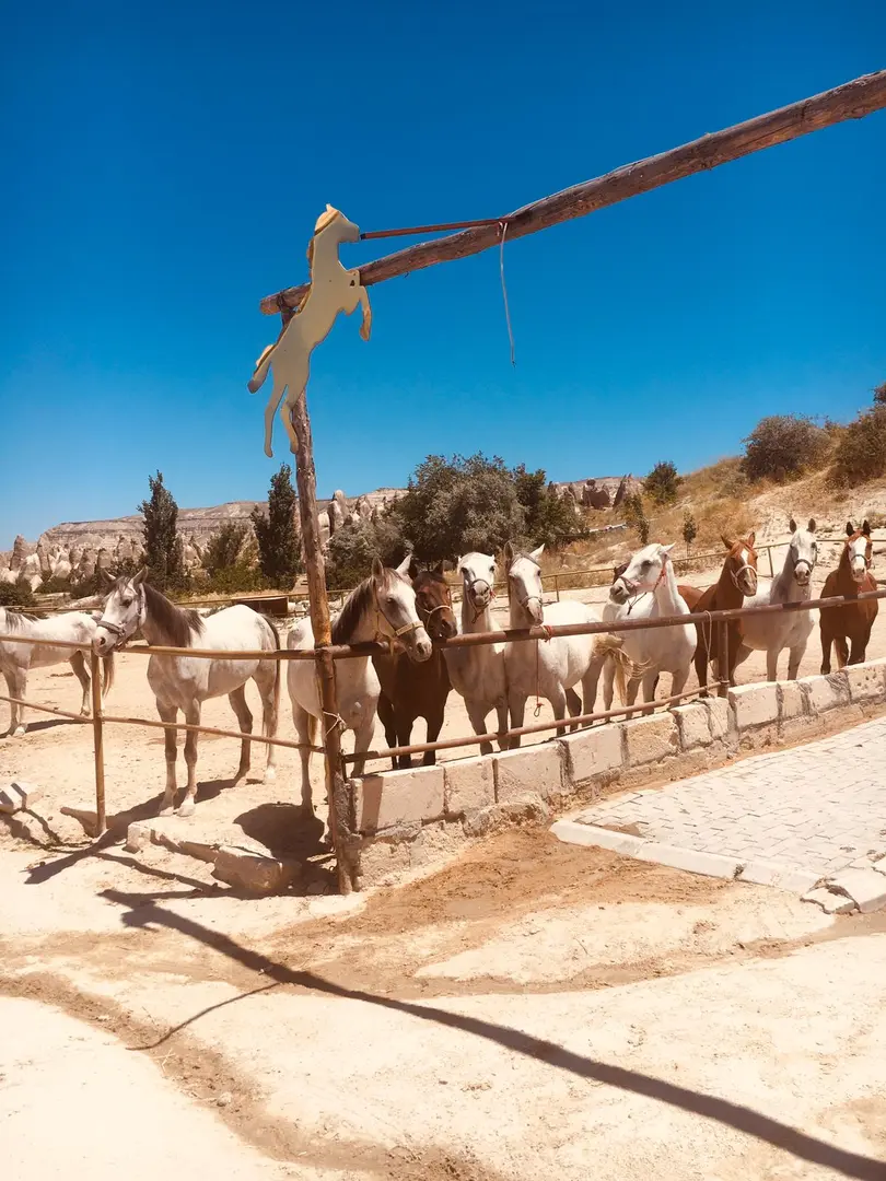 Museum ranch — Nevşehir — küçük resim 5