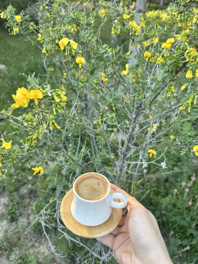 Mandilmos Fritidsområde i Niğde kommun — Niğde — küçük resim 7