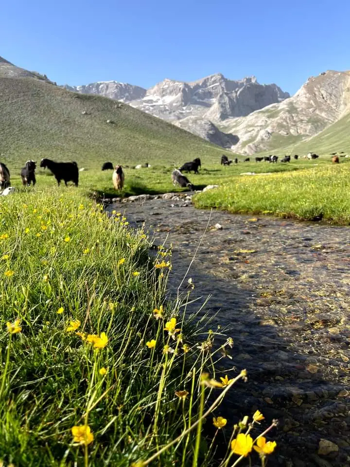 Ulukışla