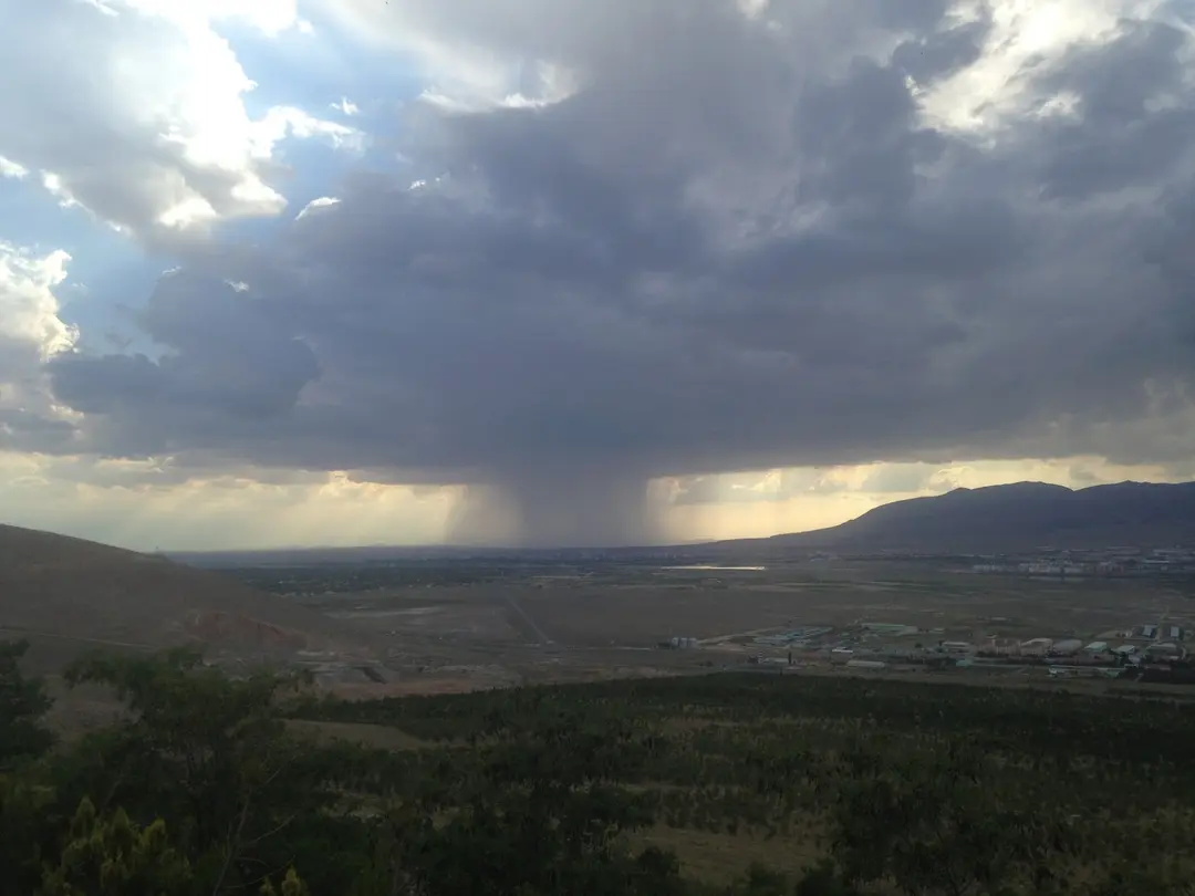Türk Telekom Memory Forest — Niğde — küçük resim 5