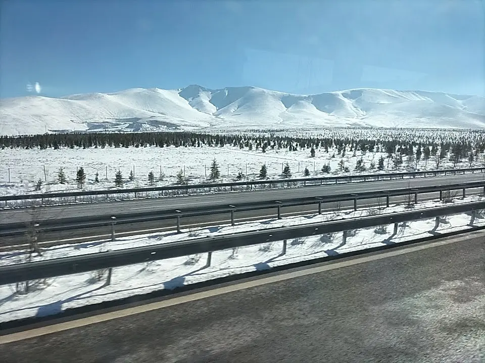 Türk Telekom Memory Forest — Niğde — küçük resim 2