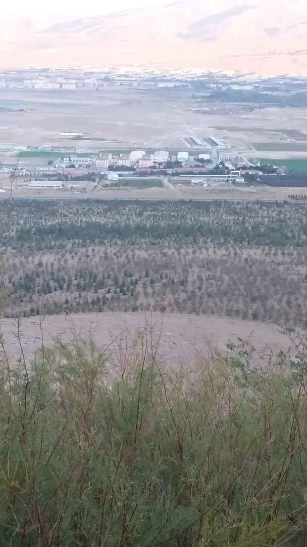 Türk Telekom Memory Forest — Niğde — küçük resim 10