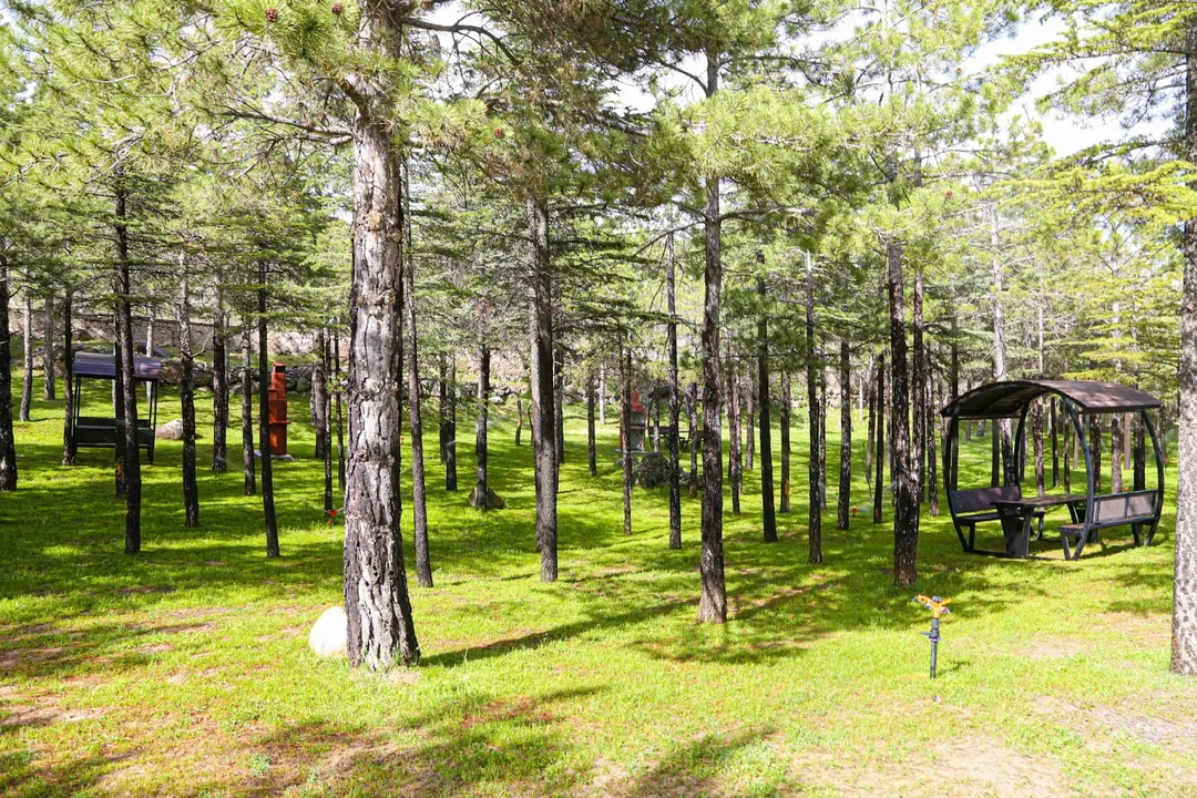 Mandilmos Fritidsområde i Niğde kommun — Niğde — fotoğraf 1