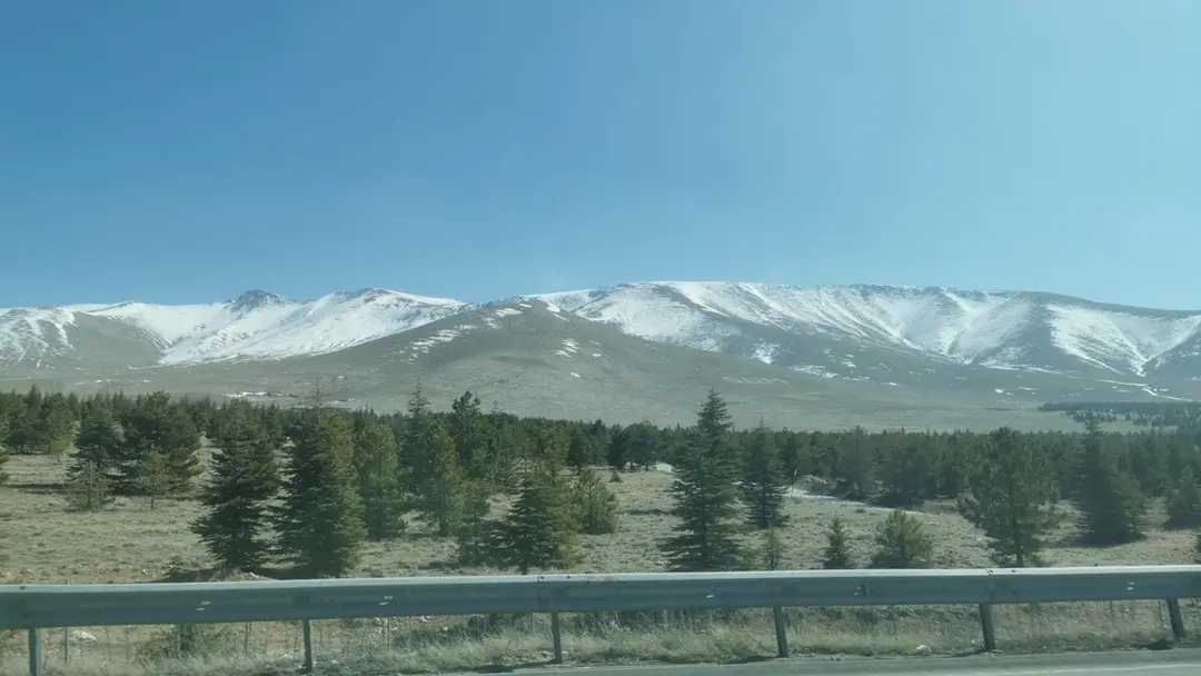 Ahmet Davutoğlu Memorial Forest — Niğde — küçük resim 2