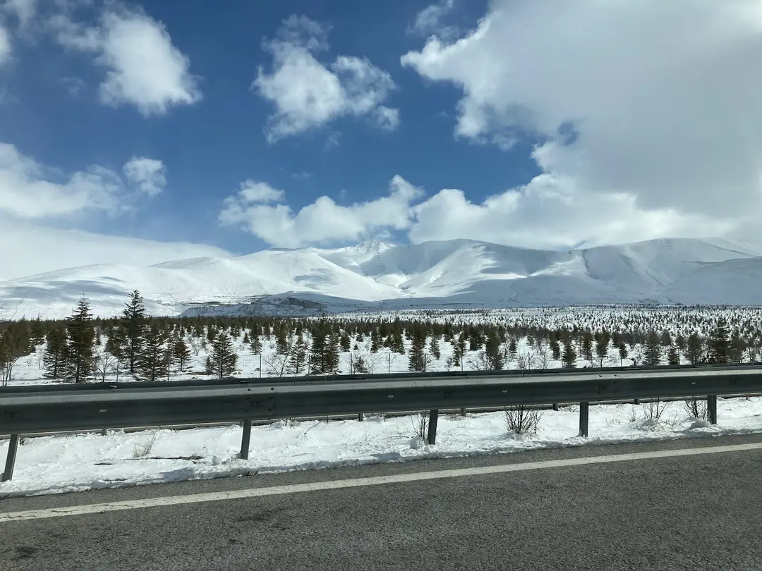 Niğde Police Department Memorial Forest — Niğde — küçük resim 2
