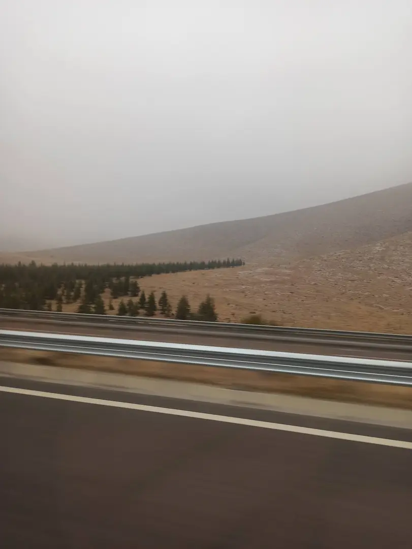Ali Rıza Bey Forest — Niğde — küçük resim 4