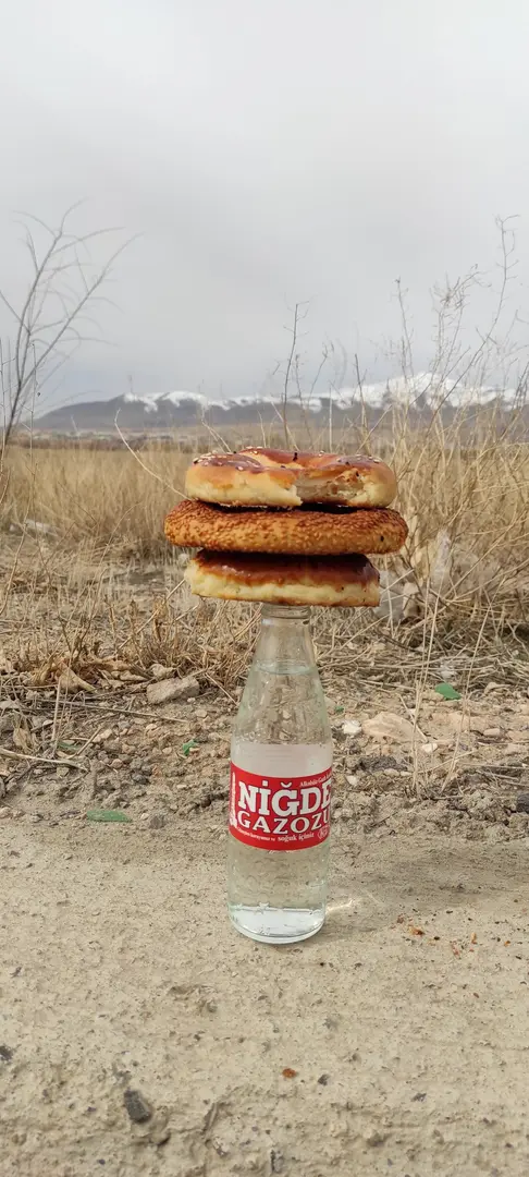 Ali Rıza Bey Forest — Niğde — küçük resim 3