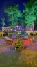 Olympos doğa camping